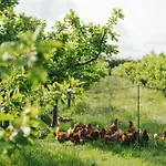 Eco Farm 'de Waeldernis' *