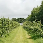 Eco Farm 'de Waeldernis' Luksustelt