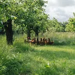 Eco Farm 'de Waeldernis' Luksustelt De Waal