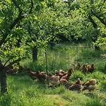 Eco Farm 'de Waeldernis' * De Waal
