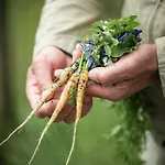 Luxuszelt Eco Farm 'de Waeldernis'