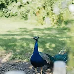 Eco Farm 'de Waeldernis' Luxuszelt *