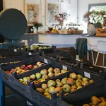 Eco Farm 'de Waeldernis' Luksustelt De Waal