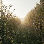 Eco Farm 'de Waeldernis'
