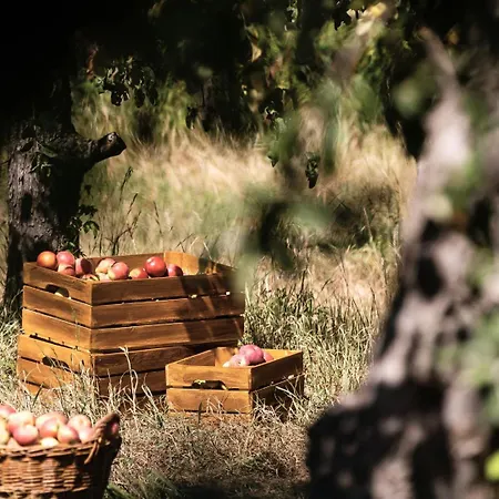 Eco Farm 'de Waeldernis' ラグジュアリーテント