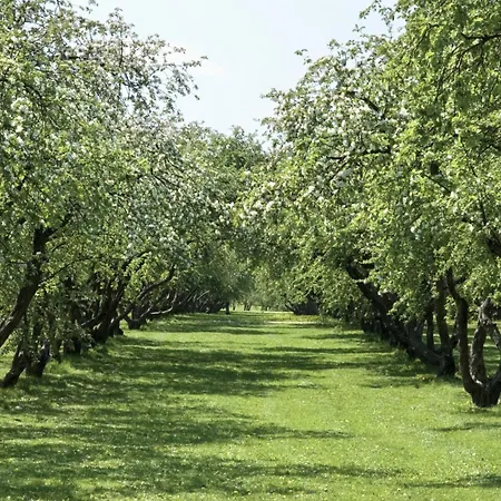 Eco Farm 'de Waeldernis' ラグジュアリーテント デ・ワール