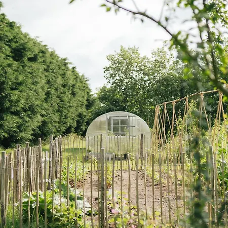Luxe tent Eco Farm 'de Waeldernis' De Waal