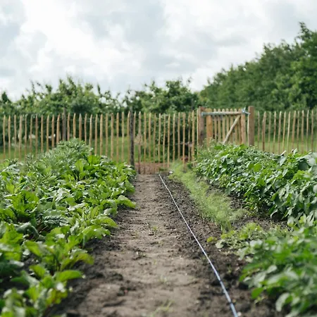 ラグジュアリーテント Eco Farm 'de Waeldernis' *