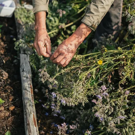 Eco Farm 'de Waeldernis' ラグジュアリーテント デ・ワール