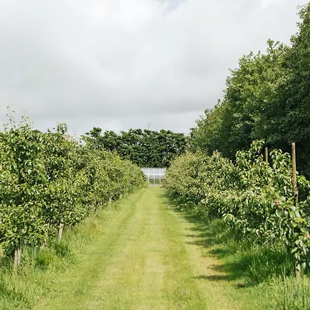 Eco Farm 'de Waeldernis' Luksusowy namiot