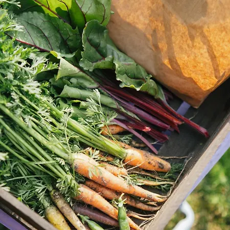 Luxury tent Eco Farm 'de Waeldernis' *