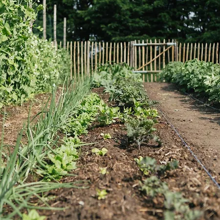 럭셔리텐트 Eco Farm 'de Waeldernis' *