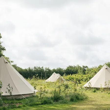 Eco Farm 'de Waeldernis' De Waal