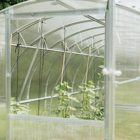 Eco Farm 'de Waeldernis' De Waal