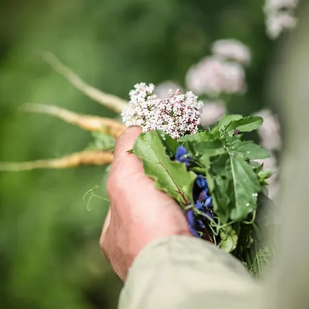 Eco Farm 'de Waeldernis' デ・ワール