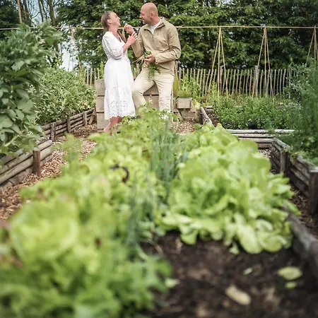 Eco Farm 'de Waeldernis' De Waal
