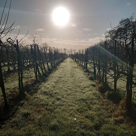 Eco Farm 'de Waeldernis' De Waal