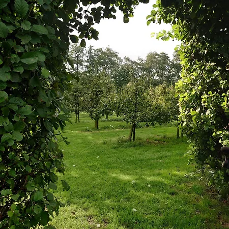 Luksustelt Eco Farm 'de Waeldernis' *