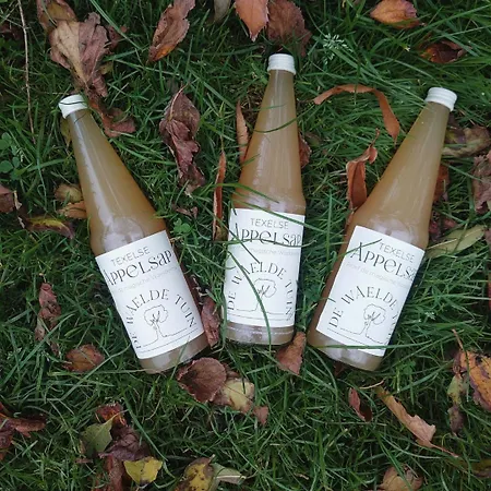 ラグジュアリーテント Eco Farm 'de Waeldernis' デ・ワール