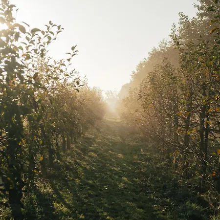 Eco Farm 'de Waeldernis' * デ・ワール