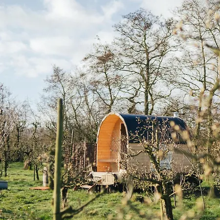 Luxe tent Eco Farm 'de Waeldernis' De Waal