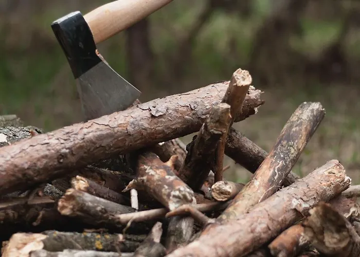 Eco Farm 'de Waeldernis' Campo de lujo De Waal