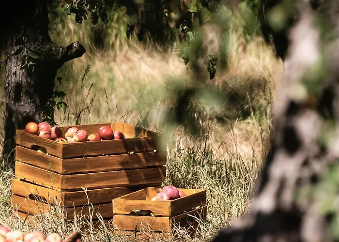 Eco Farm 'de Waeldernis' Campo de lujo