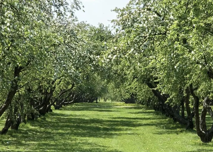 Eco Farm 'de Waeldernis' Campo de lujo De Waal