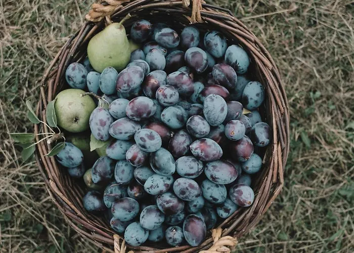 Eco Farm 'de Waeldernis' Campo de lujo De Waal