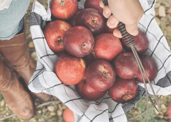 Eco Farm 'de Waeldernis' * De Waal