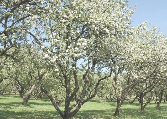 Eco Farm 'de Waeldernis' Campo de lujo *