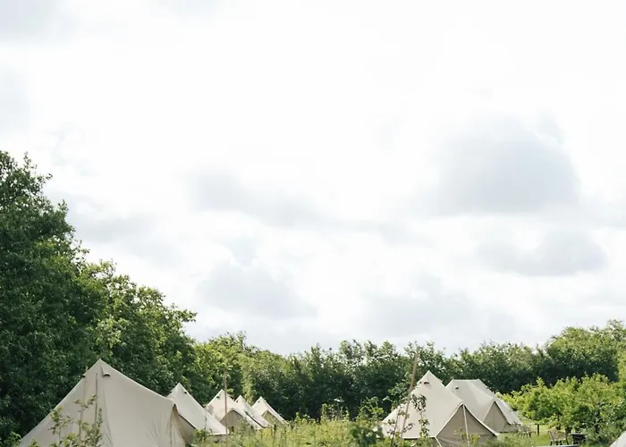 Eco Farm 'de Waeldernis' De Waal