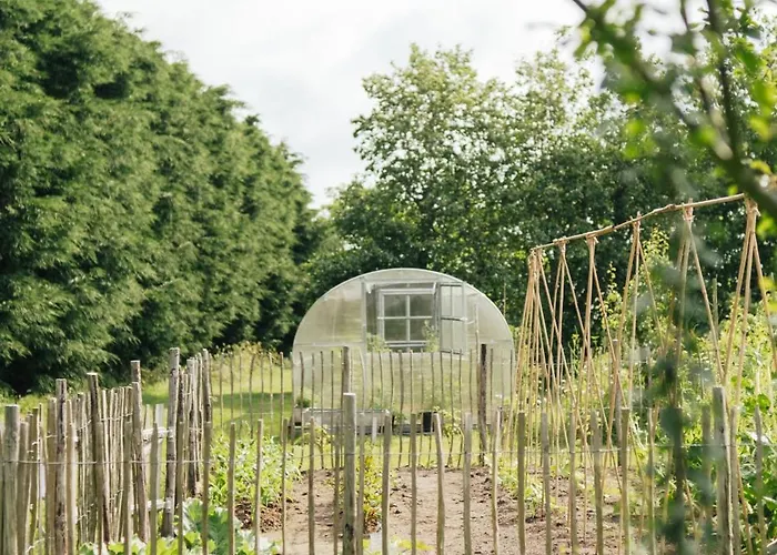 Campo de lujo Eco Farm 'de Waeldernis' De Waal