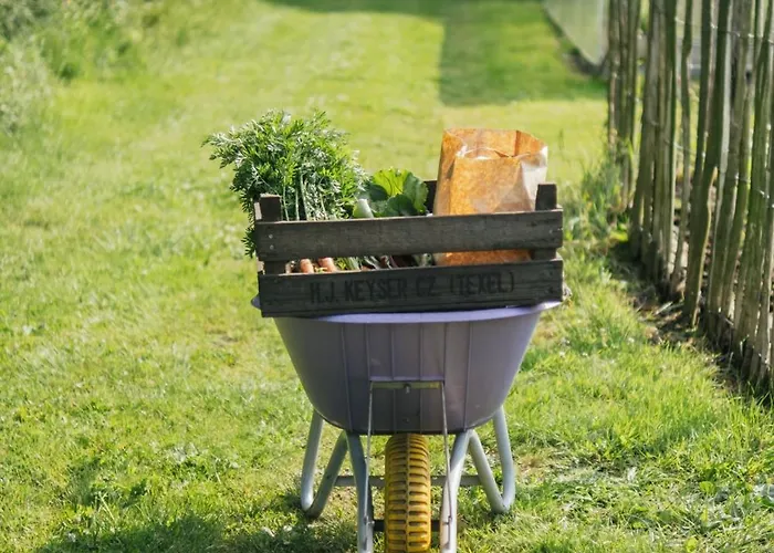 Campo de lujo Eco Farm 'de Waeldernis'