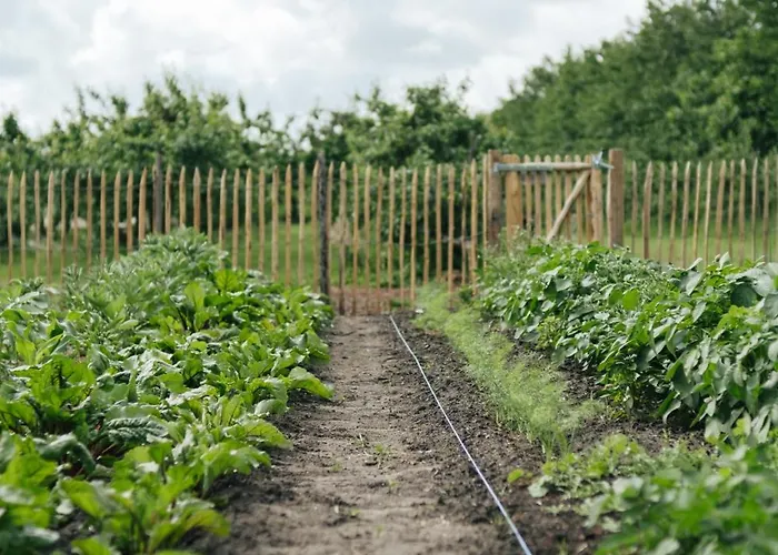 Campo de lujo Eco Farm 'de Waeldernis' *