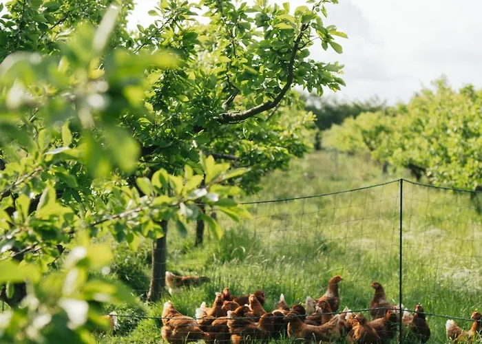 Eco Farm 'de Waeldernis' *