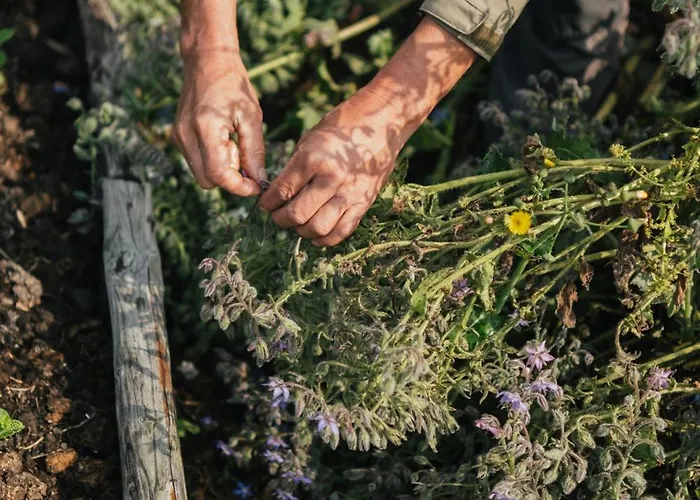 Eco Farm 'de Waeldernis' Campo de lujo De Waal