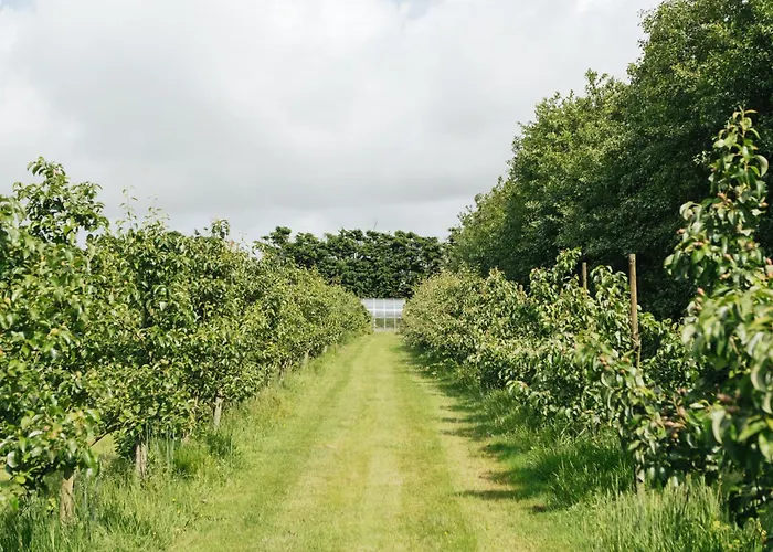 Eco Farm 'de Waeldernis' Campo de lujo
