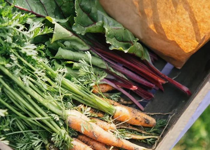 Campo de lujo Eco Farm 'de Waeldernis' *