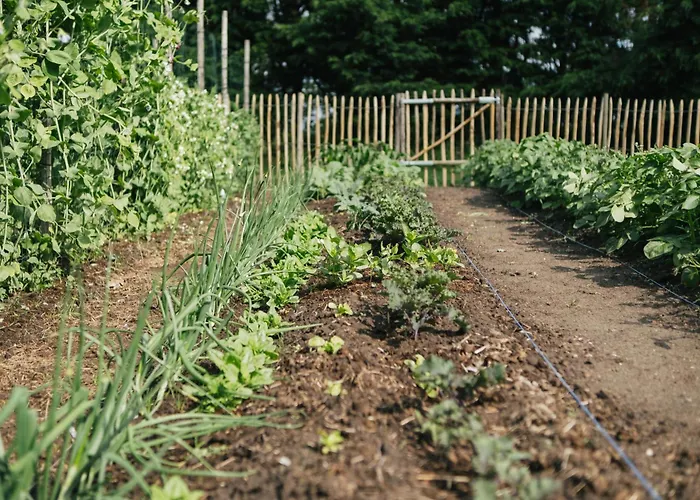 Campo de lujo Eco Farm 'de Waeldernis' *