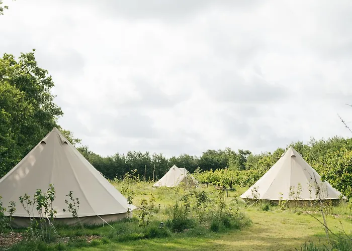 Eco Farm 'de Waeldernis' De Waal