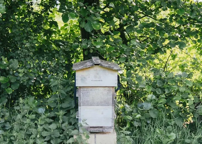 Eco Farm 'de Waeldernis' Campo de lujo