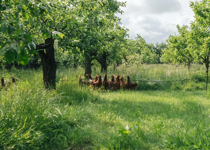Eco Farm 'de Waeldernis' Campo de lujo De Waal