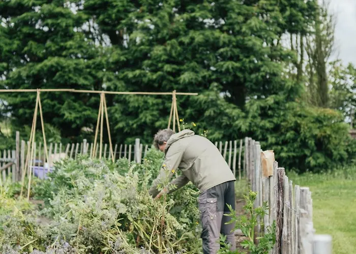 Eco Farm 'de Waeldernis'