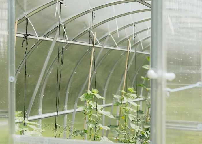 Eco Farm 'de Waeldernis' De Waal