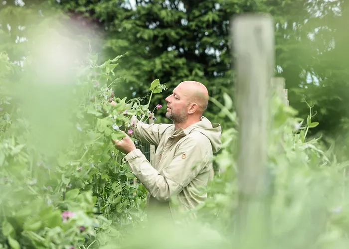 Eco Farm 'de Waeldernis' Campo de lujo De Waal