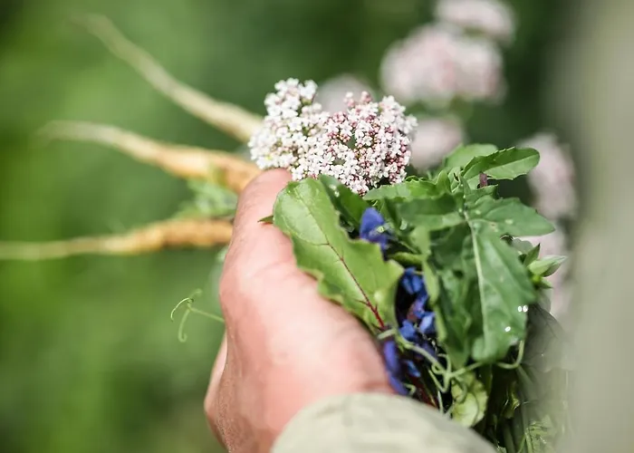 Eco Farm 'de Waeldernis' De Waal