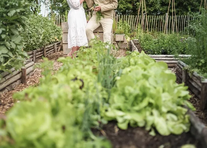 Eco Farm 'de Waeldernis' De Waal