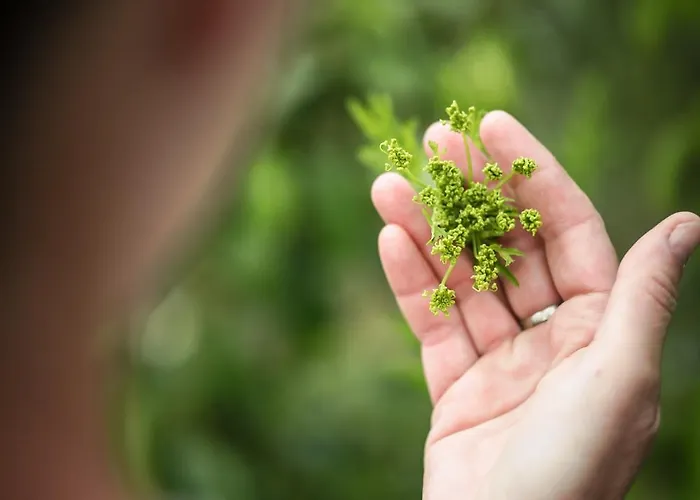 Eco Farm 'de Waeldernis'