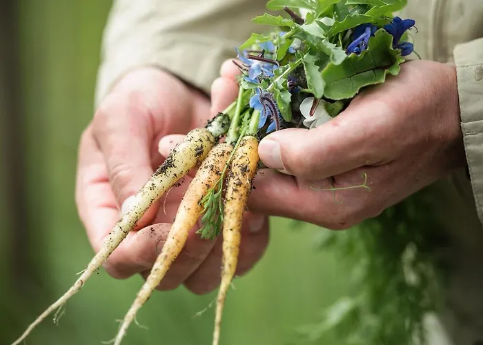 Campo de lujo Eco Farm 'de Waeldernis'